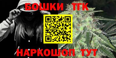Альфа ПВП Можга
