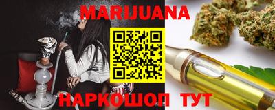 Альфа ПВП Можга
