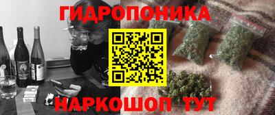 кокс Моздок