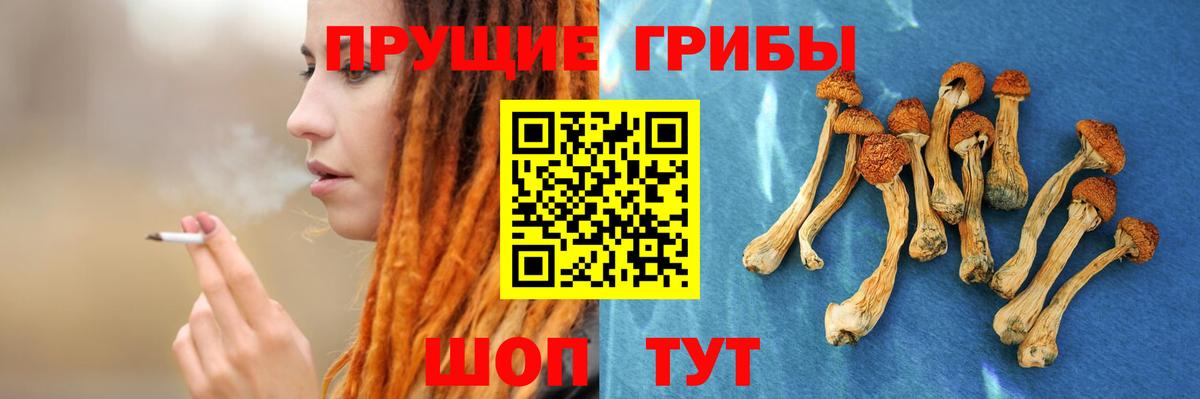 Киселёвск  Галлюциногенные грибы MAGIC MUSHROOMS  цены   Вход с VPN 